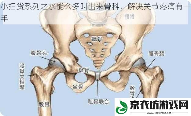 小扫货系列之水能么多叫出来骨科，解决关节疼痛有一手