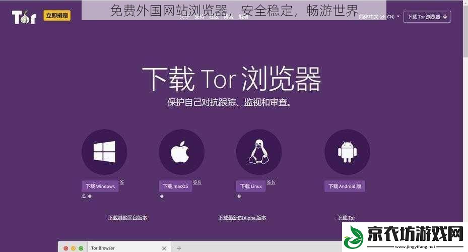 免费外国网站浏览器，安全稳定，畅游世界
