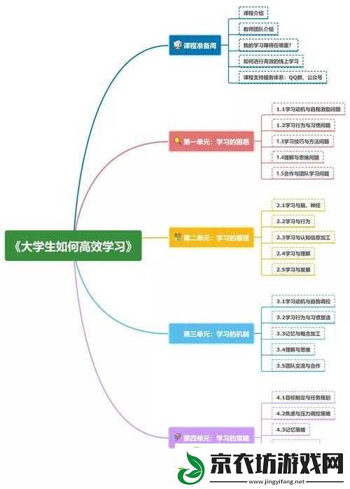 大学生活全指南：从学习到社交面面俱到