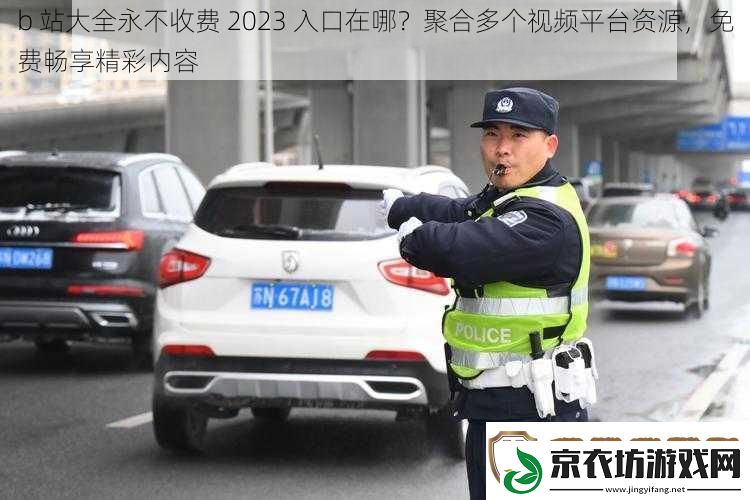 b-站大全永不收费-2023-入口在哪-聚合多个视频平台资源-免费畅享精彩内容