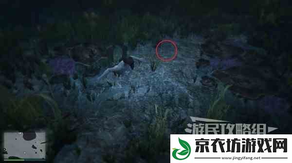 GTAOL全海底迷幻仙人掌位置一览