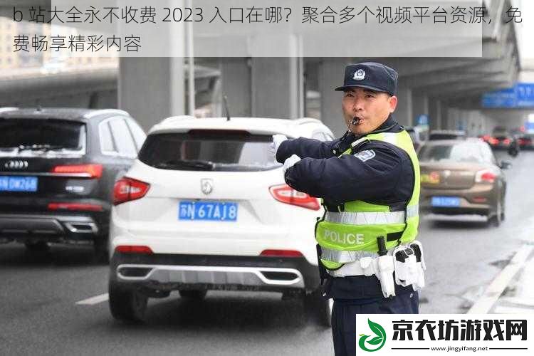 b 站大全永不收费 2023 入口在哪？聚合多个视频平台资源，免费畅享精彩内容