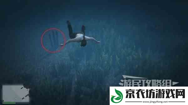 GTAOL全海底迷幻仙人掌位置一览