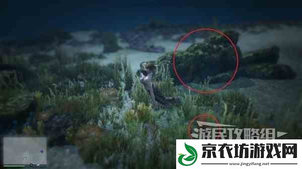 GTAOL全海底迷幻仙人掌位置一览