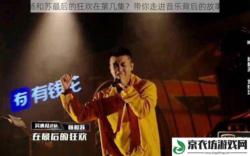 杨和苏最后的狂欢在第几集？带你走进音乐背后的故事