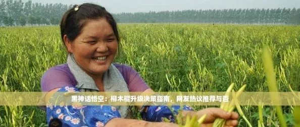 黑神话悟空：柳木棍升级决策指南-网友热议推荐与否