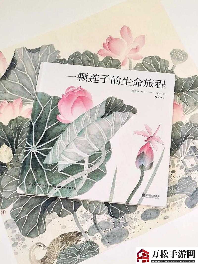 盈盈64：探索生命的完整性