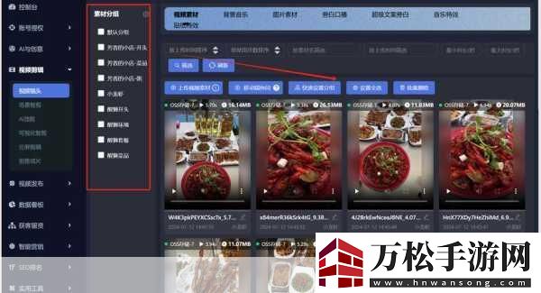 seo短视频网页免费入口引流-免费获取SEO短视频网页引流的全新方法分享