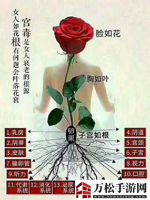 什么叫女人半夜莲花开：解析其含义