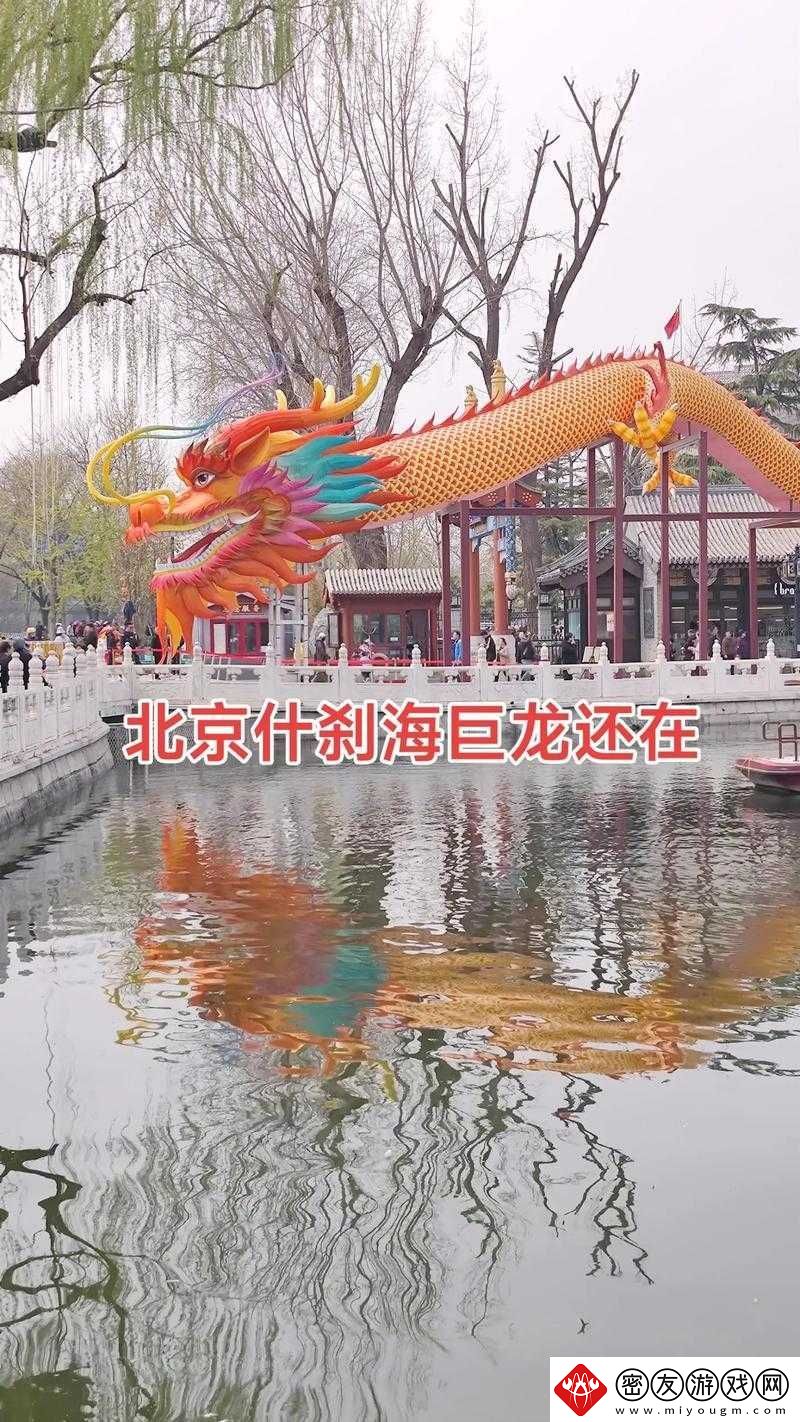 早上醒来发现巨龙还在：这可怎么办