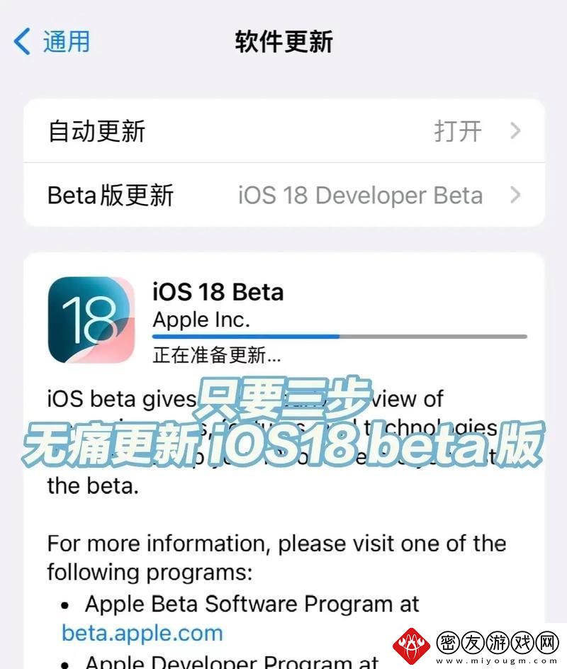 iOS迅雷Beta内测版兑换码：一场自嘲式的幽默探险