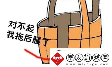 地域拖油瓶是什么梗网络用语-地域拖油瓶梗意思及出处分享