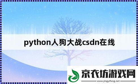 Py冲撞CSDN-笑看新时代：创新-我不懂啊！