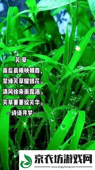 离离原上草-一岁一枯荣