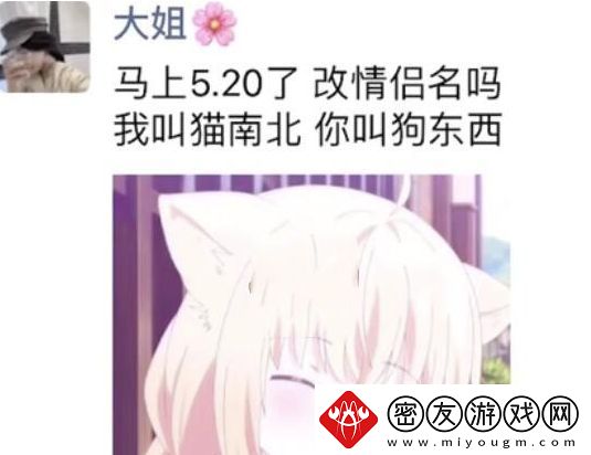 猫南北狗东西是什么梗络用语-猫南北狗东西梗意思及出处分享