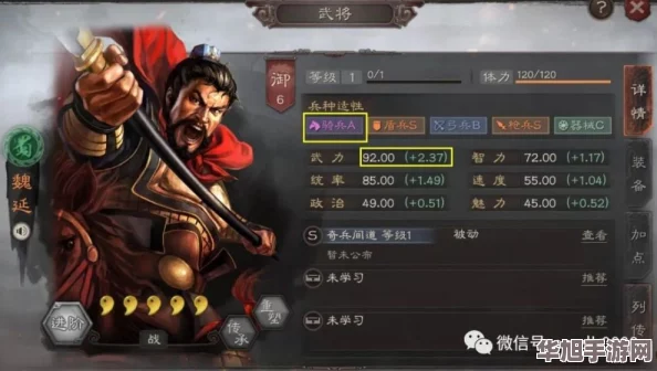 三国志战略版深度策略探讨