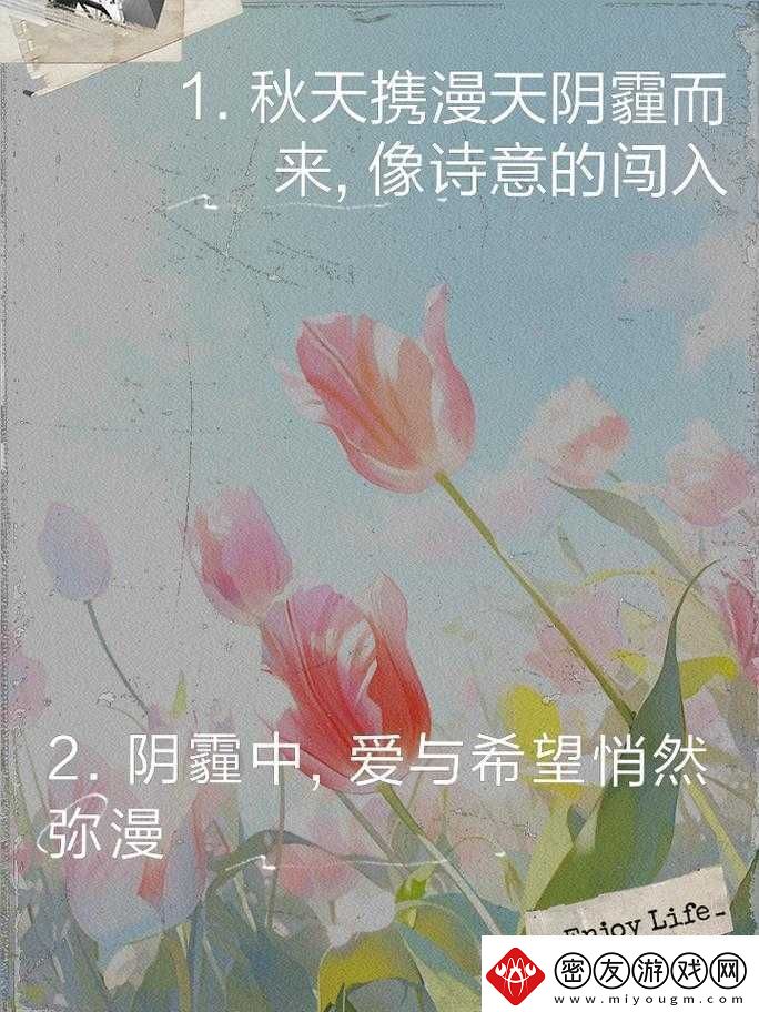 今夜无人入睡：爱与希望的交织