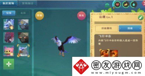 创造与魔法云鹰饲料怎么做